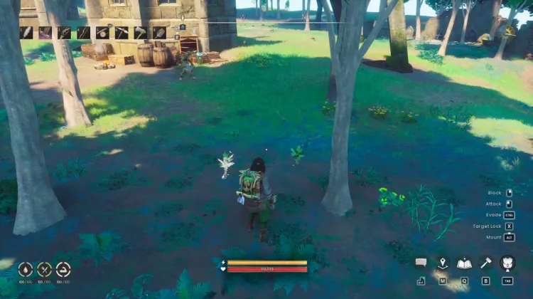 Potato x2