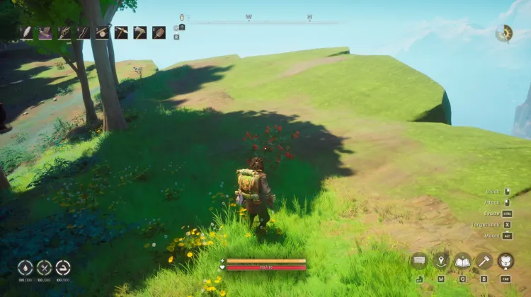 Redberry Bush