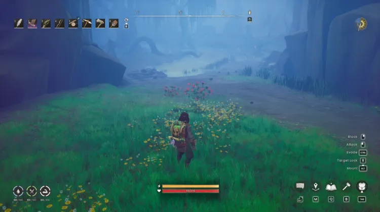 Redberry Bush x3