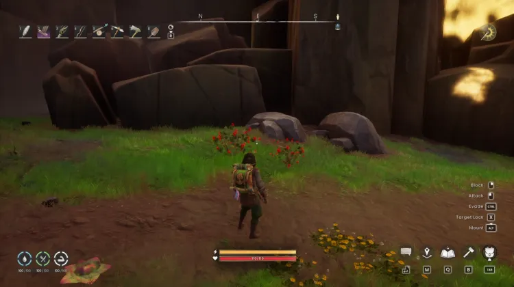 Redberry Bush x2