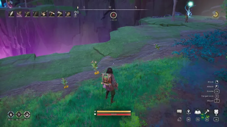 Potato x3