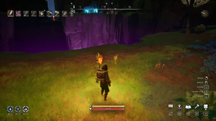Potato x4