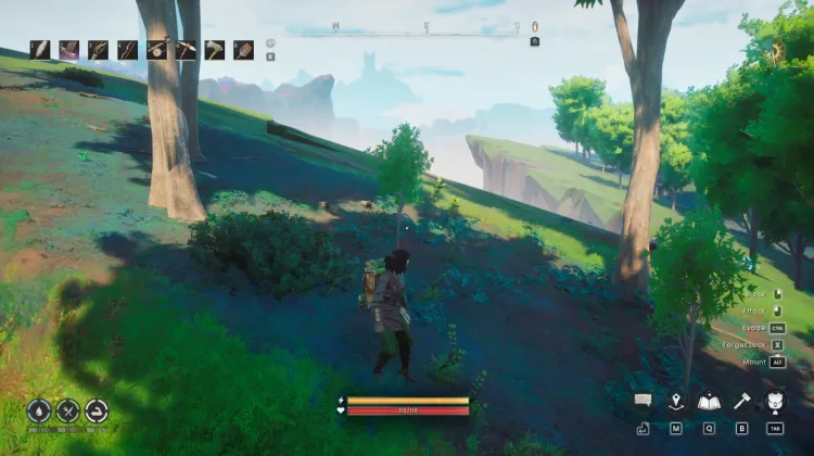 Potato x4
