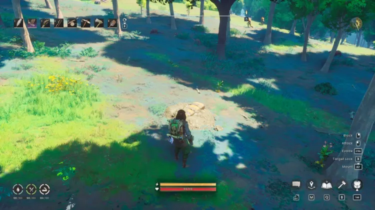 Buried Chest
