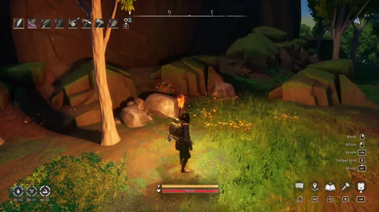 Redberry Bush x4