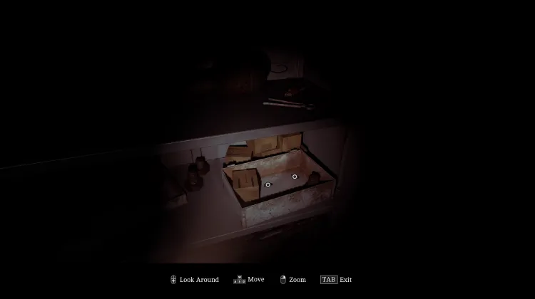 Munitions de pistolet x2
