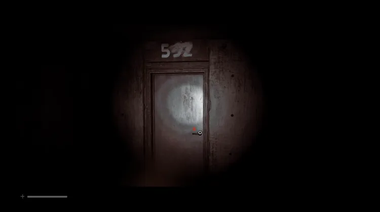 Drzwi 592