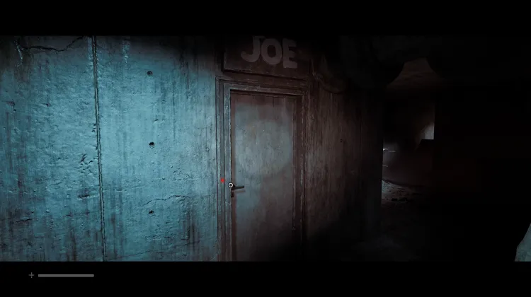 Drzwi JOE