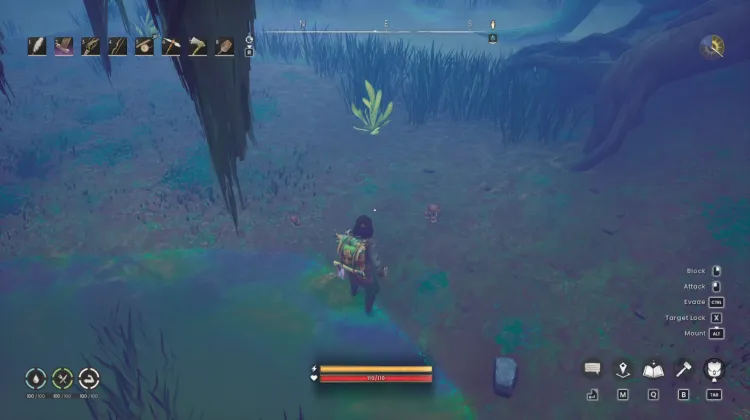Bittercap Mushroom x2