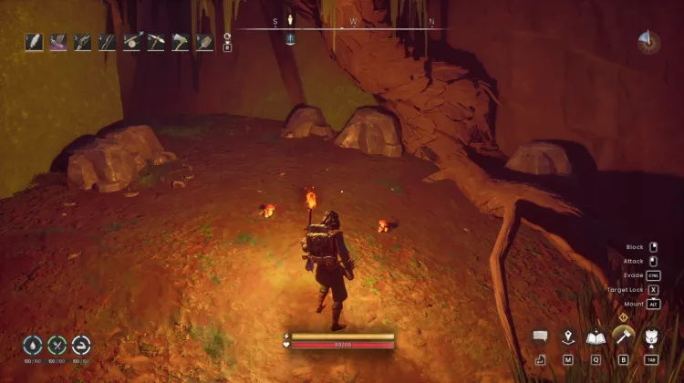 Bittercap Mushroom x2