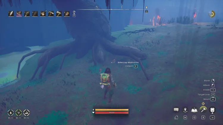 Bittercap Mushroom x2
