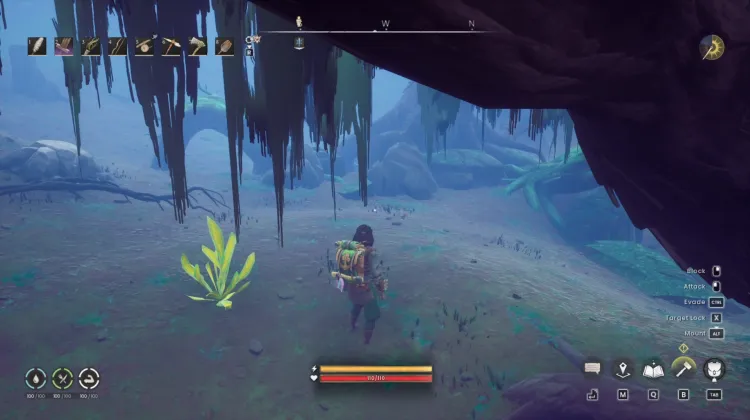 Bittercap Mushroom x3