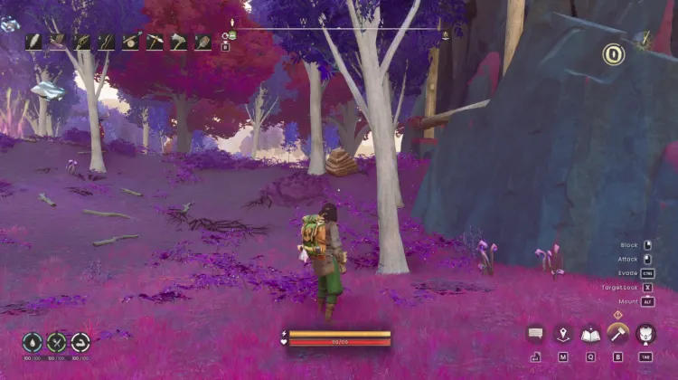 Sandstone Boulder x2