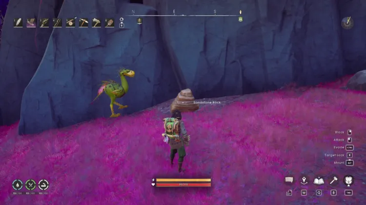 Sandstone Boulder