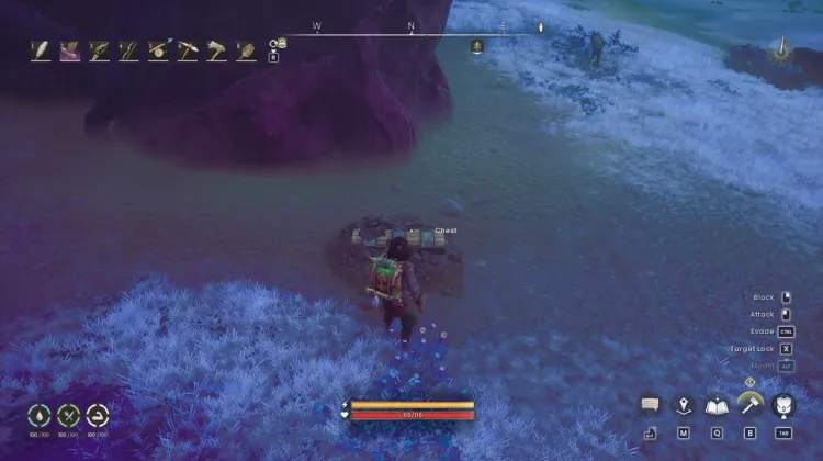 Buried Chest