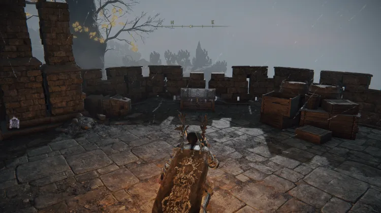 Sağ Dectus Madalyonu