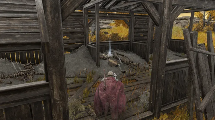 Dev Sıçan Külleri