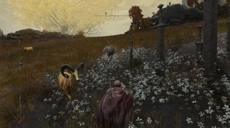 Savaş Külü: Yıldırım Koçu