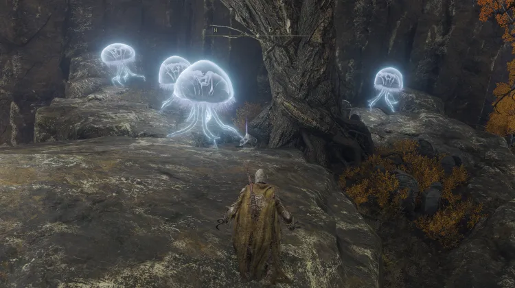 Kılıçkilit Anahtarı