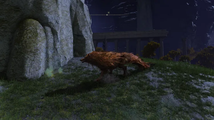 Lesser Red Wolf of Radagon