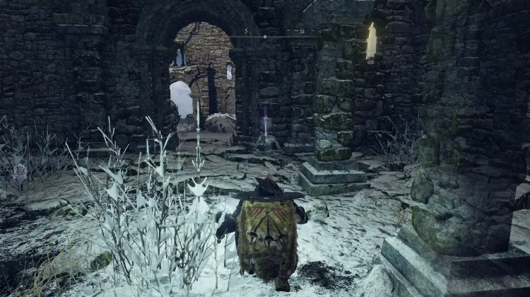 Zamor Buz Fırtınası