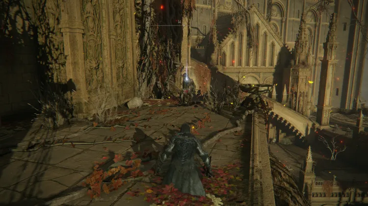 Tohum Yatağı Laneti