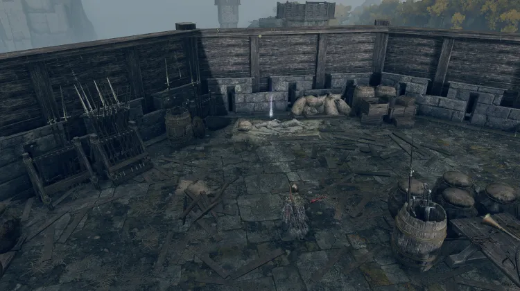 Büyük Kaplumbağa Kabuğu