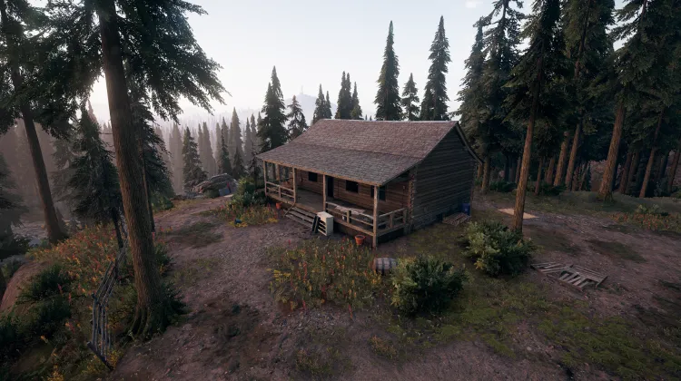 Red Tail Cabin