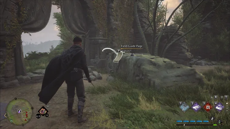 Peruvian Instant Darkness Powder