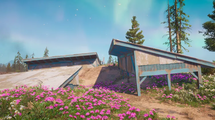 Colline du Chien Mort