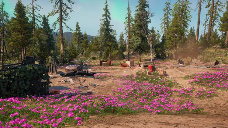 La Masure de Fillmore