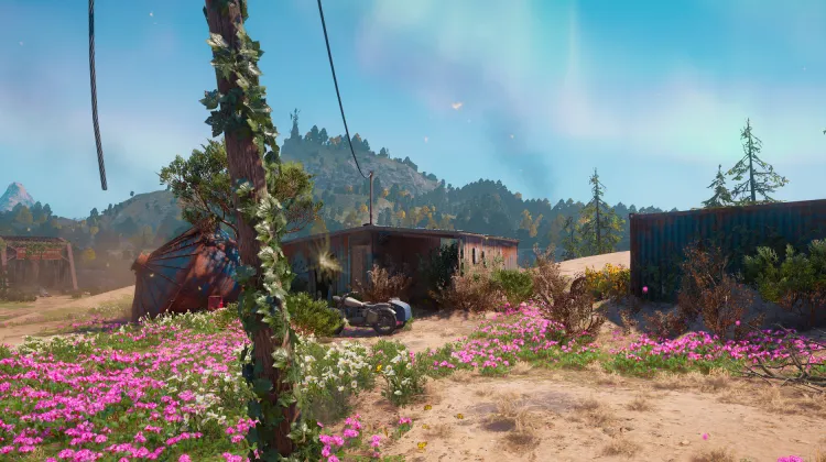 Vue sur le Jardin Désert