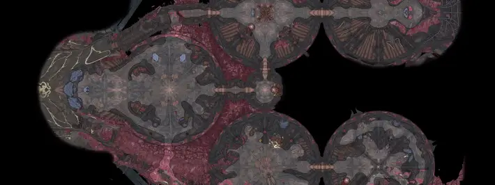 Nautiloid imagem