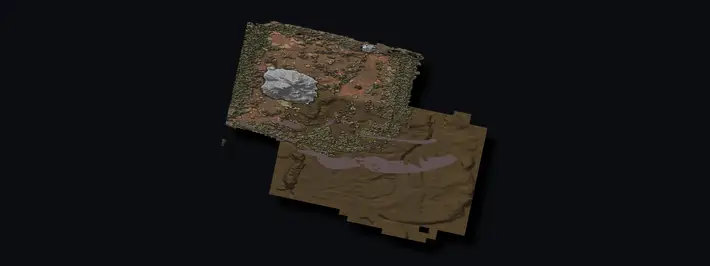 Swamp image