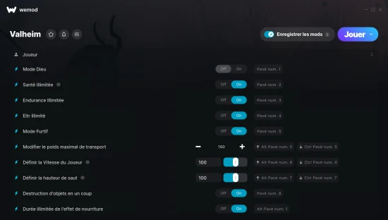 Capture d’écran des cheats pour Valheim
