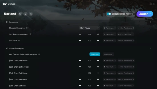 Capture d’écran des cheats pour Norland