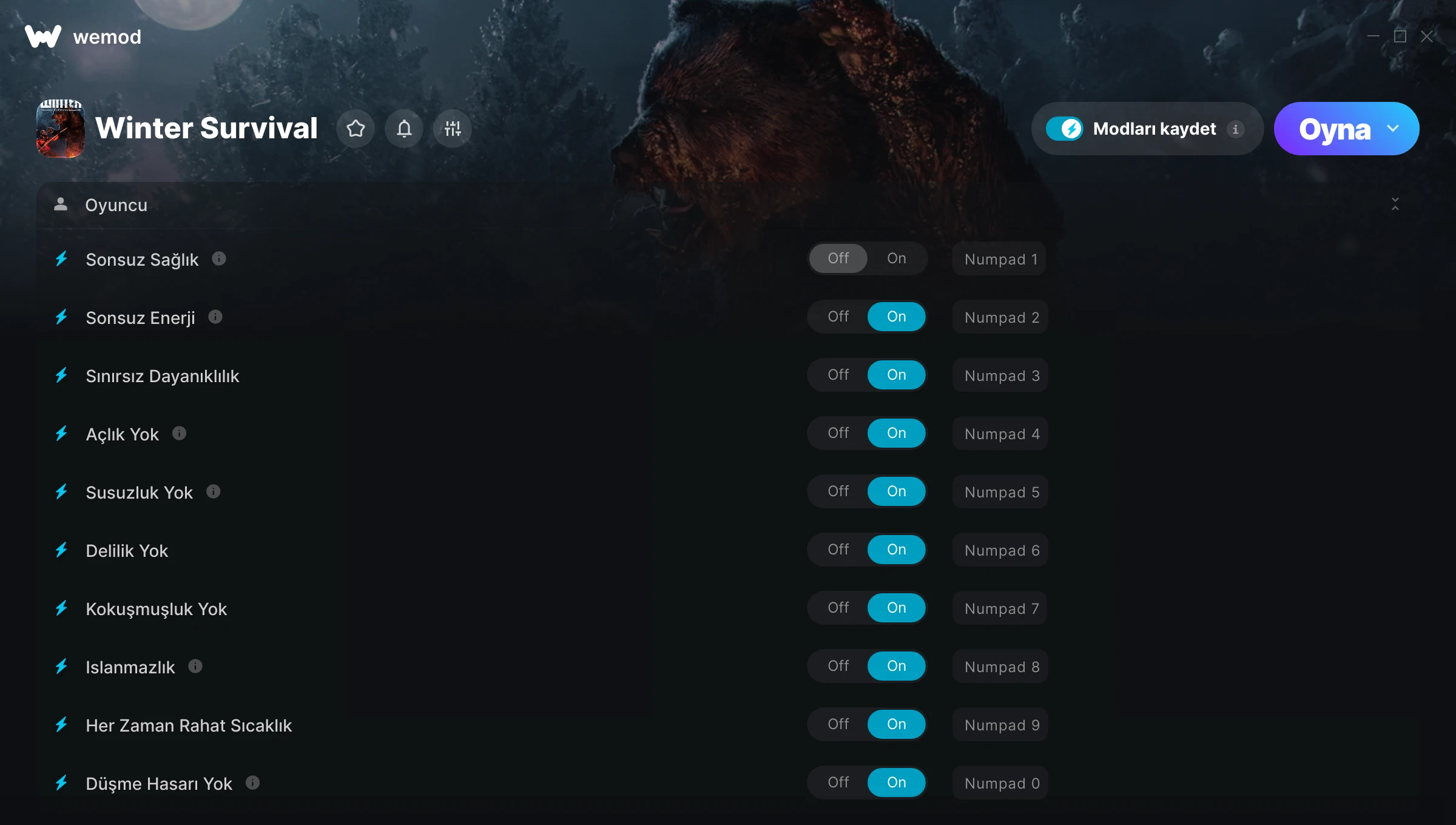 Winter Survival hilelerinin ekran görüntüsü