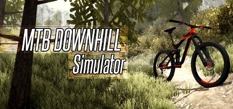 mountain bike simulator trainer