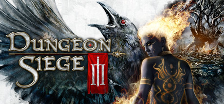 how to run dungeon siege 2 in 1920x1080