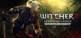 the witcher 2 pc cheats the witcher 2 pc cheats